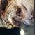 Lisa Johnson's profile image