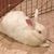 Phyllis Anderson McLaughlin's profile image