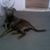 Clarence R Hewes's profile image