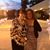 Robin Webb-Lucas's profile image