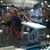 Bobi Bamer's profile image