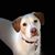 Amy Fenska D'Amico's profile image