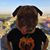Sabrenia Thompson Baxter's profile image