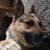 Jennifer Liuzzo Colachino's profile image