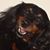 Carol Kuhn's profile image