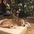 Holly Deckert-Moore's profile image
