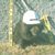 Nelson Wohn's profile image