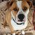 Jody Thorpe Phillips's profile image
