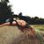 Sunshine Crawford's profile image