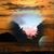 Cyndi C. Trayter's profile image