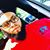 Ibn Rashed's profile image