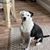 Cristina Romero's profile image