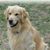 Ann Yeoman Muellenbach's profile image