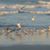 Kathy Glazier Wilson's profile image