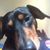Missy Coulter's profile image