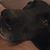 Barela S Robert's profile image