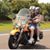 David Barnes's profile image
