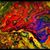 Sherry Lynn Rickard's profile image