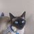 Lloyd A Shaver's profile image