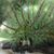 Patricia Marble's profile image