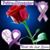 Andrea Raso's profile image