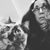 Sylvia Flores's profile image