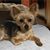 Sue Mathis Hudgens Bresett's profile image