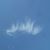 Imranulhaq Khan's profile image