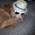 Jacob Papke's profile image