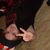 Bailee Woods's profile image