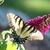 Sue Kramlich's profile image