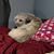 Liz Bayer-Partington's profile image