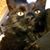Jennifer Dixson's profile image