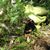 Laureen Poulton's profile image