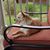 Gail Cousart Turner's profile image