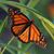 Katherine Elliott's profile image