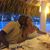 Christina Hernandez's profile image
