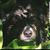 Rhonda Hall Warnick's profile image