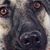 Christine Summers's profile image