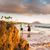 Shelly Stockton Owens's profile image