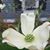 Lisa Kirby's profile image