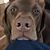 Scottye Crawford Lee's profile image
