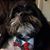 Cheri Lynn Fuqua's profile image