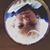 Melissa Popovich's profile image