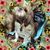 Tess Tescue Kenna's profile image