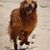 Alicia Keyton's profile image