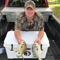 D.j. Spalding's profile image