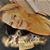 Debbie Lynn McDaniel's profile image