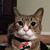 Dee Kissinger's profile image