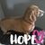 Carolyn Haywood's profile image